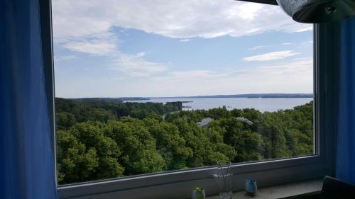 a window with a view of the water and trees at Plön - Traumhafter Seeblick in Plön