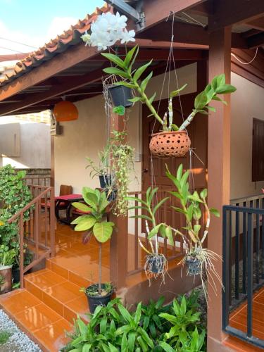 Κήπος έξω από το K Khan Garden at Chiang Khan Walking Street