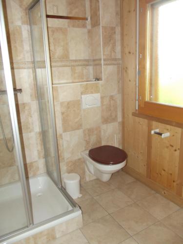 a bathroom with a toilet and a glass shower at Tschoueilles 013 MOUNTAIN & VIEW - chalet 12 pers in Veysonnaz