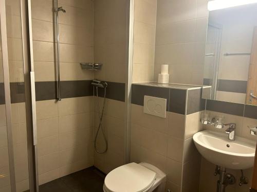 a bathroom with a shower and a toilet and a sink at Magrappe M 440 - SKI LIFT apartment 7 pers in Veysonnaz