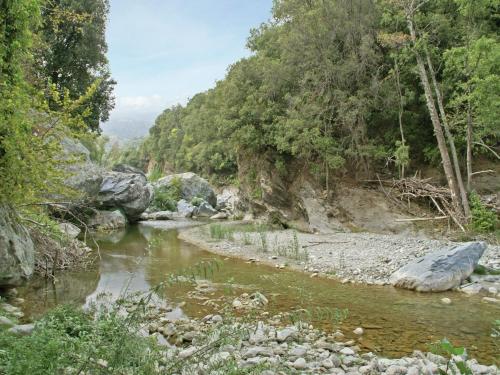 a river with rocks and trees on the side at Riverside Home in Folelli in Penta-di-Casinca