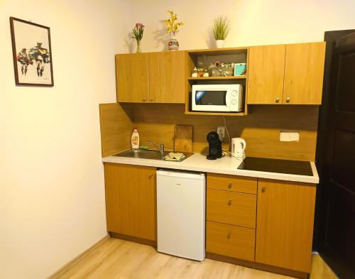 a small kitchen with a sink and a microwave at Chalupa U Vinaře in Radějov