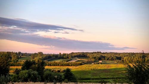 Folwark Wichrowe Wzgorze