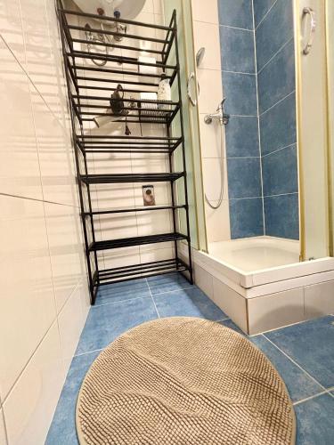 a bathroom with a shower and a round rug at Summer app Pool Spa jacuzzi 2 in Makarska