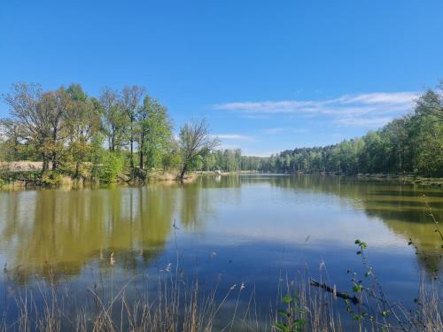 a large lake with trees on the side of it at "Sielski Zakątek" - domek całoroczny in Tuplice