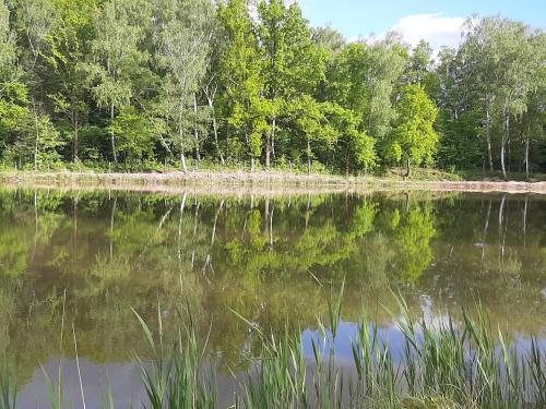 a body of water with trees in the background at "Sielski Zakątek" - domek całoroczny in Tuplice
