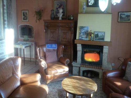 a living room with leather furniture and a fireplace at Cozy Escape in Namur Region in Doische