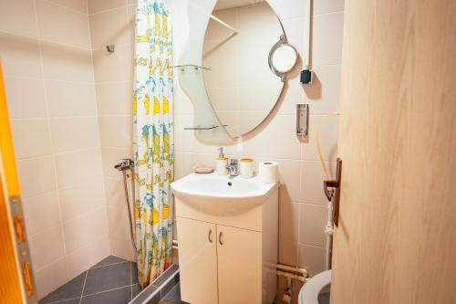 a bathroom with a sink and a mirror at STD Stara Vodenica in Crni Vrh