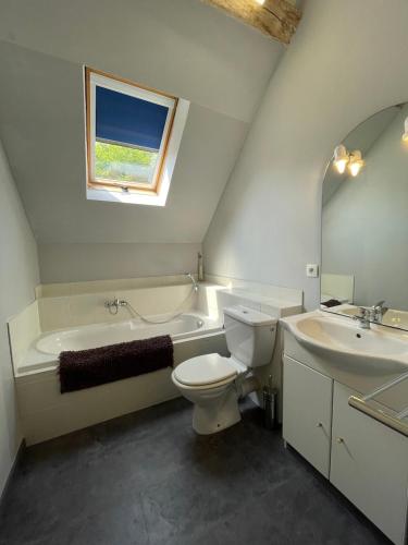 a bathroom with a toilet and a tub and a sink at La Maison de Maître, Loire Gîte in Fléré-la-Rivière