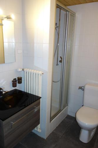 Magrappe M 557 - SKI LIFT apartment 12 pers