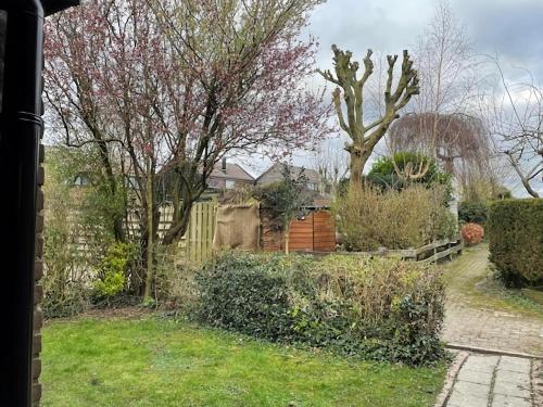 a garden with a fence and trees and a yard at Holiday Home Warmenhuizen near Dunes in Warmenhuizen