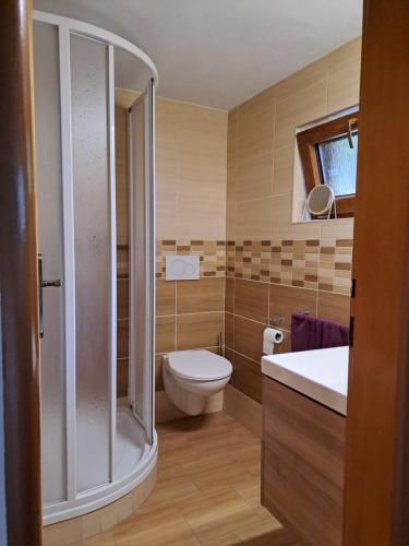 a bathroom with a toilet and a shower and a sink at Chata Veronika in Podhradí nad Dyjí