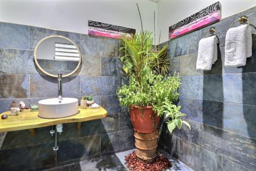 a bathroom with a sink and a mirror and plants at Hiiaka room - city center - swimming pool in Papeete