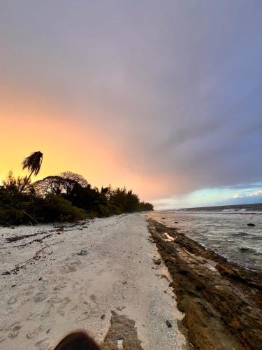 a sandy beach with a palm tree and the ocean at Fare Vainina beach house in Moorea