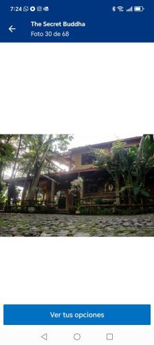 Fotografie z fotogalerie ubytování Artsy lush villa with jungle garden in the city v destinaci Sabaneta