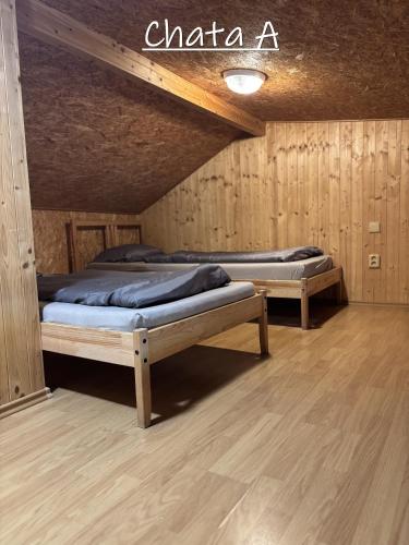 two beds in a room with wooden walls at ATC Apollo Lednice in Břeclav