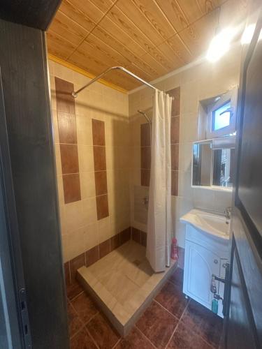 a bathroom with a shower and a sink at CTA House in Cîrţişoara