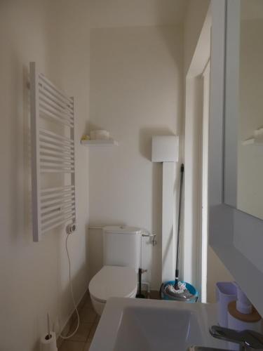 a white bathroom with a toilet and a sink at Maisonnette au bord du Sierroz in Aix-les-Bains