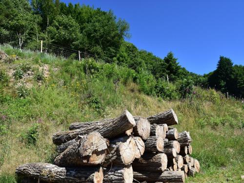 a pile of logs sitting on top of a hill at Holiday Home in Saizy with Stargazing Garden in Vignol