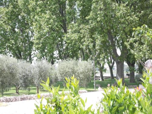 a park with trees and bushes and a road at Holiday Home in Saizy with Stargazing Garden in Vignol