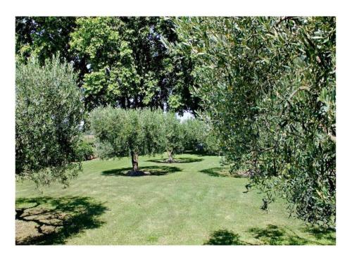 a park with trees and green grass with trees at Holiday Home in Saizy with Stargazing Garden in Vignol