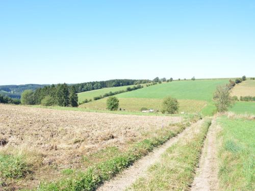 a dirt road in the middle of a field at Nature Escape in Martelange in Radelange