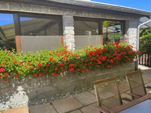 a window box with red flowers and a chair at Penzion a restaurace Balaton in Šluknov