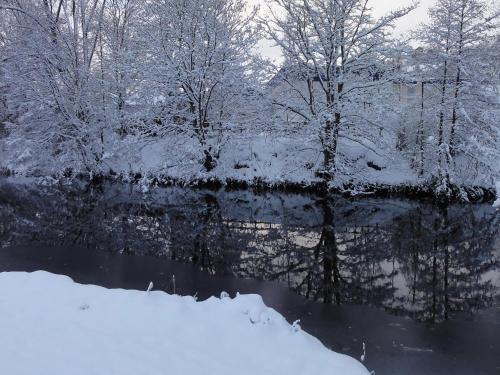 a river covered in snow with trees in the background at Cottage in Jedburgh with Stunning Views in Jedburgh