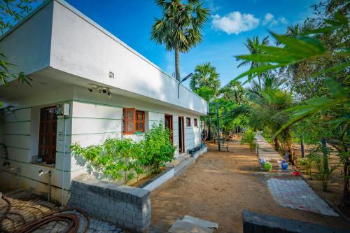 Κήπος έξω από το SSS Large Farm House