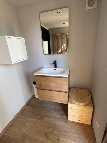 a bathroom with a sink and a mirror at Containers aménagé au cœur des chants des grenouilles in Hotton