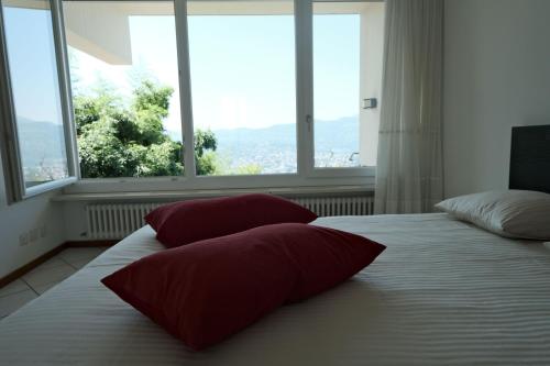 Casa-Cleo photo 2