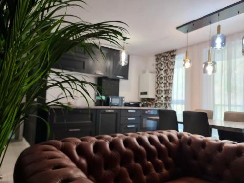 a kitchen with a couch and a table with a plant at GLAMOUR Style Apartment in Cluj-Napoca