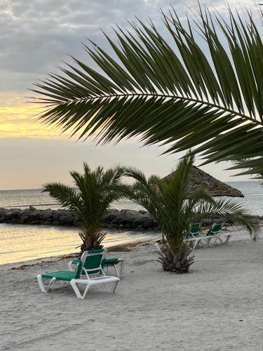 two lounge chairs and palm trees on a beach at Palm Beach in Frederikshavn