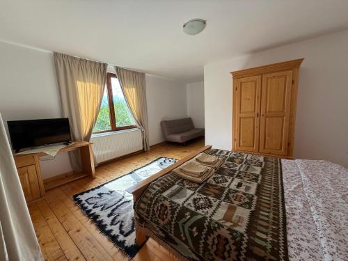 a bedroom with a bed and a tv in it at Anahouse in Vişeu de Sus