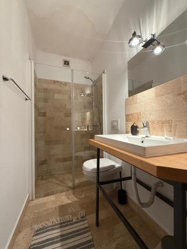 a bathroom with a sink and a toilet and a shower at Anahouse in Vişeu de Sus