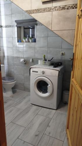 a washing machine in a bathroom with a toilet at Retro apartament Lukas in Ostrowsko