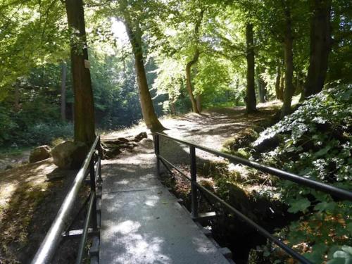 a path in a forest with a fence at Familienspaß & Waldwege in Ilsenburg in Ilsenburg