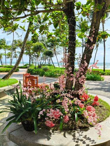 a garden with pink flowers and a bench at SUN House in Phu Quoc