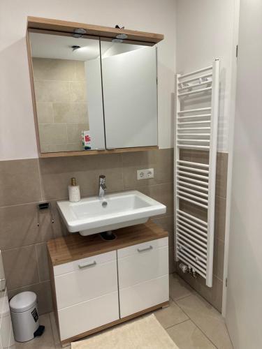 a bathroom with a white sink and a mirror at Charmante Wohnung in der Bregenzer Innenstadt in Bregenz