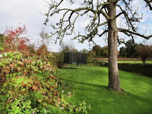 a tree in the middle of a field with a park at Holiday Home in Epen with Garden & BBQ in Epen