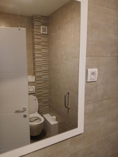 a bathroom with a toilet and a shower stall at Apartman s parkingom, blizu Akva parka, Natura Lux - Green Hill, Sokobanja in Soko Banja