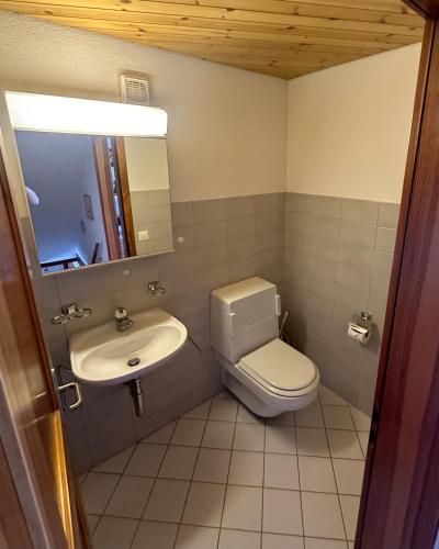 a bathroom with a toilet and a sink at Gesamte Unterkunft am Rheinfall für Familien & Paare mit Parking in Neuhausen am Rheinfall