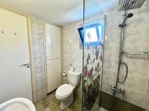 a bathroom with a toilet and a shower at STAY Pervolia Maisonette in Sophtadhes