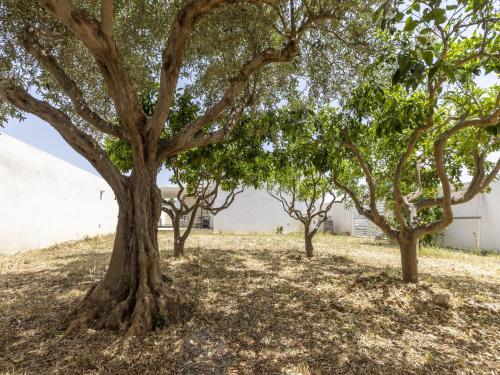 a row of trees in front of a white building at Modern Villa Near Trapani in Locogrande