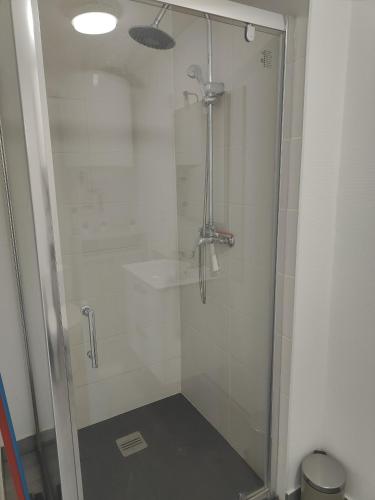 a shower with a glass door in a bathroom at Charmant studio avec terrasse in Ebersheim