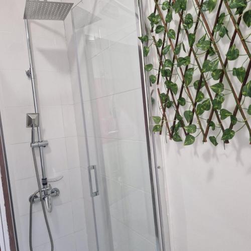 a shower with a plant on the wall at Hostal Real in Vigo
