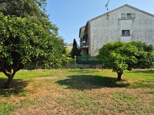 two trees in a yard in front of a building at Le nid des agrumes in Lucciana