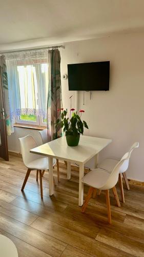 TV a/nebo společenská místnost v ubytování Leśna Oaza