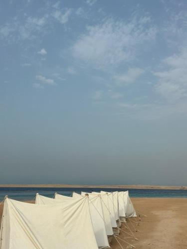 a row of white tents sitting on the beach at Blend in Nature Eco Camp Beachfront Stay in Ras Mohamed, Sharm El Sheikh in Sharm El Sheikh