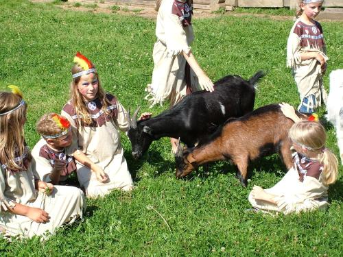 a group of young girls kneeling in the grass with a goat at Alpen Natur Camp in Gröbming